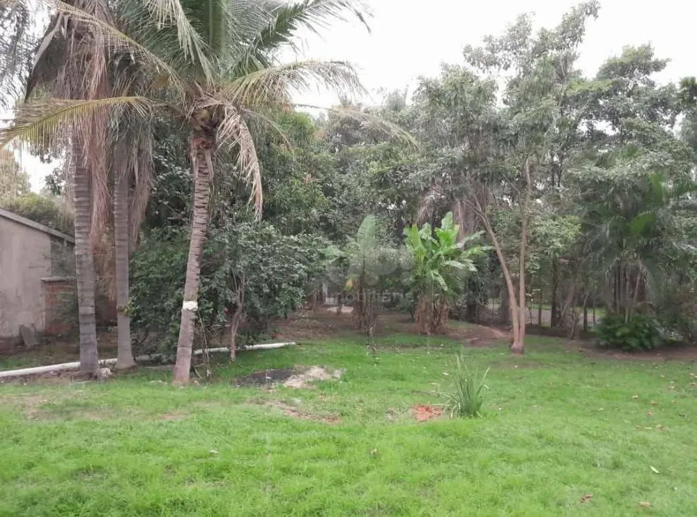 Chácara, 3 quartos, 1100 m² - Foto 15