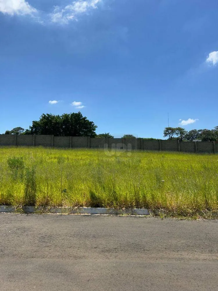 Terreno, 250 m² - Foto 1