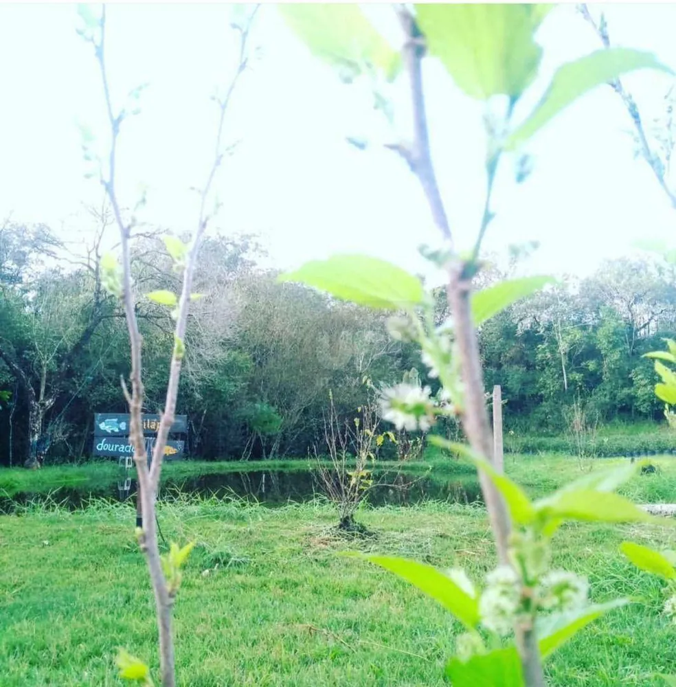 Chácara, 1 quarto, 3 hectares - Foto 12