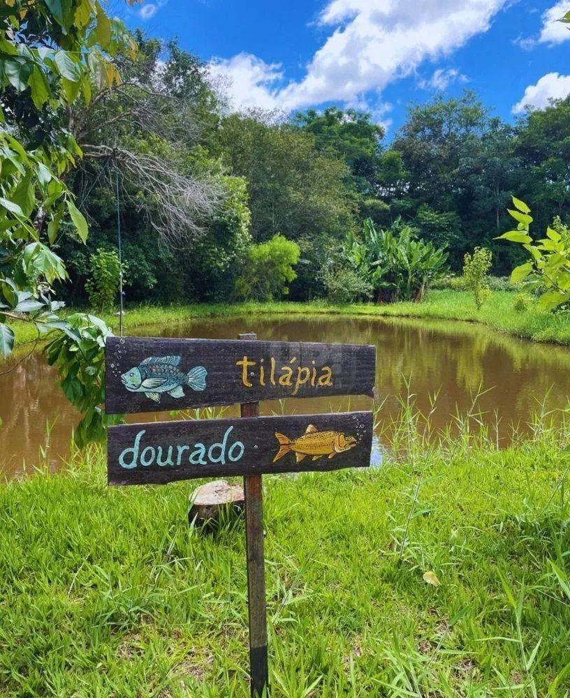 Chácara, 1 quarto, 3 hectares - Foto 7