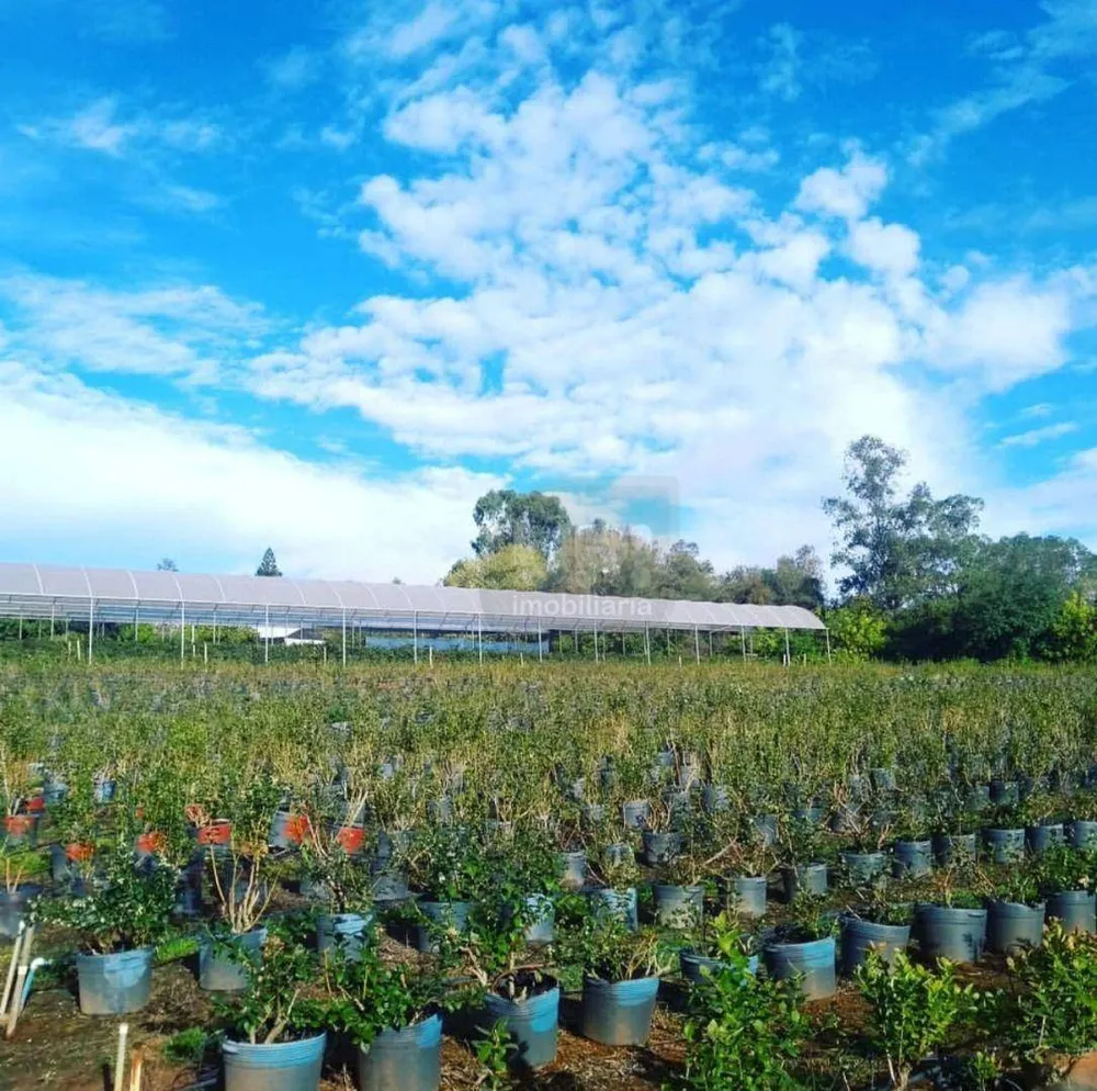 Chácara, 1 quarto, 3 hectares - Foto 3