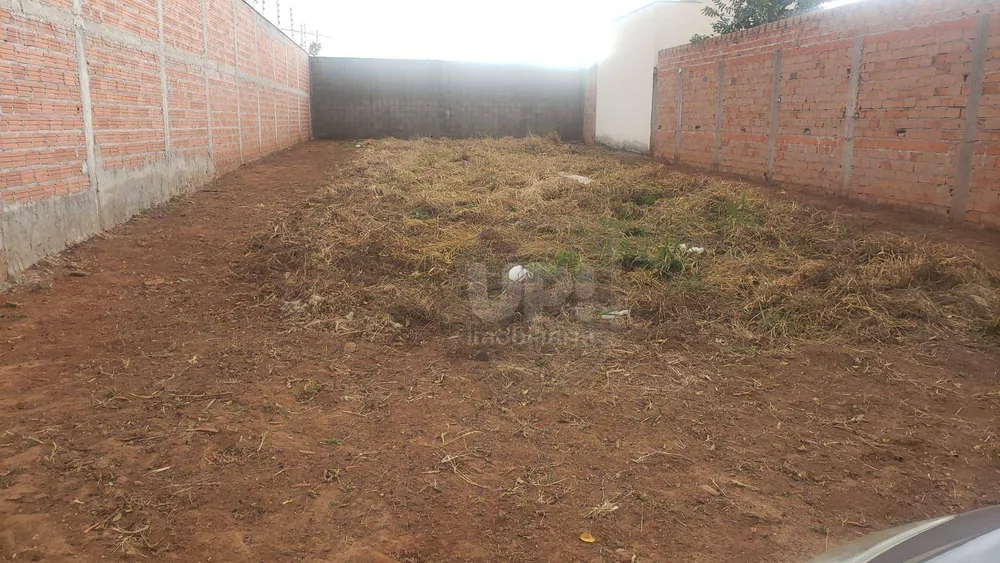 Terreno, 250 m² - Foto 3