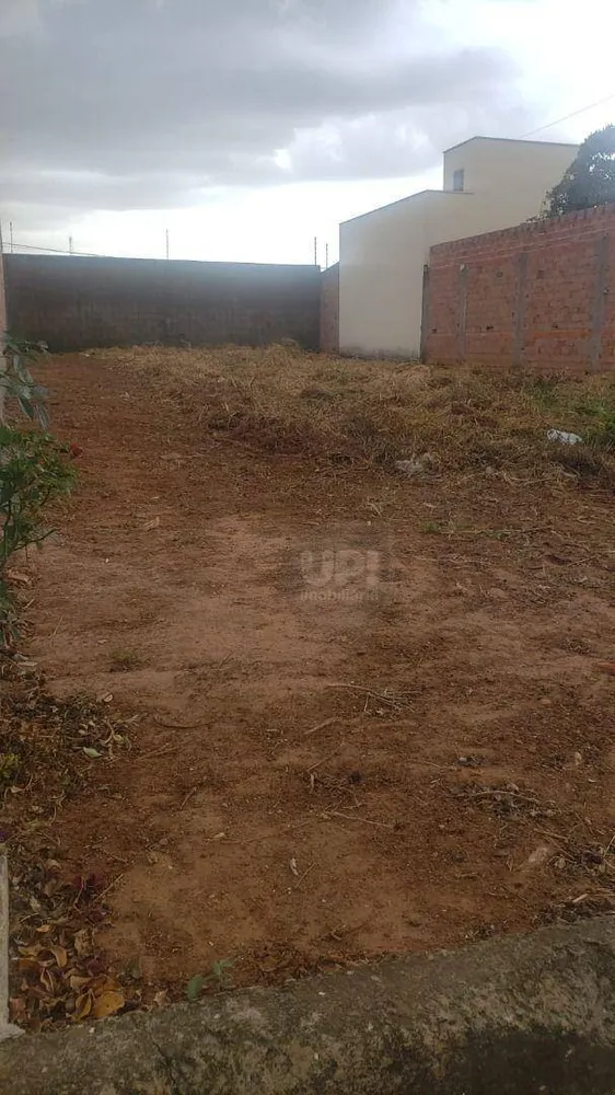 Terreno, 250 m² - Foto 2