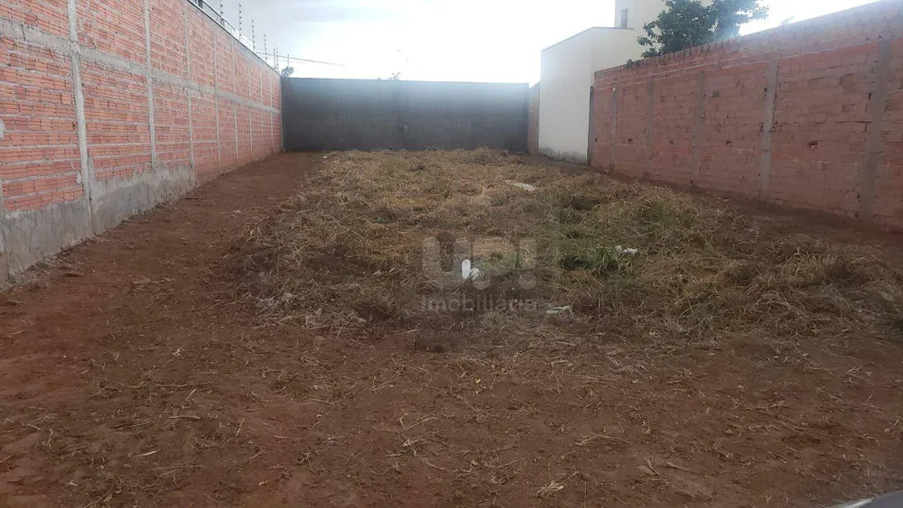 Terreno, 250 m² - Foto 1