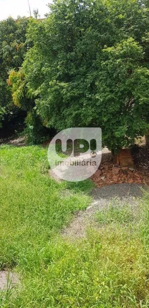 Terreno, 250 m² - Foto 1
