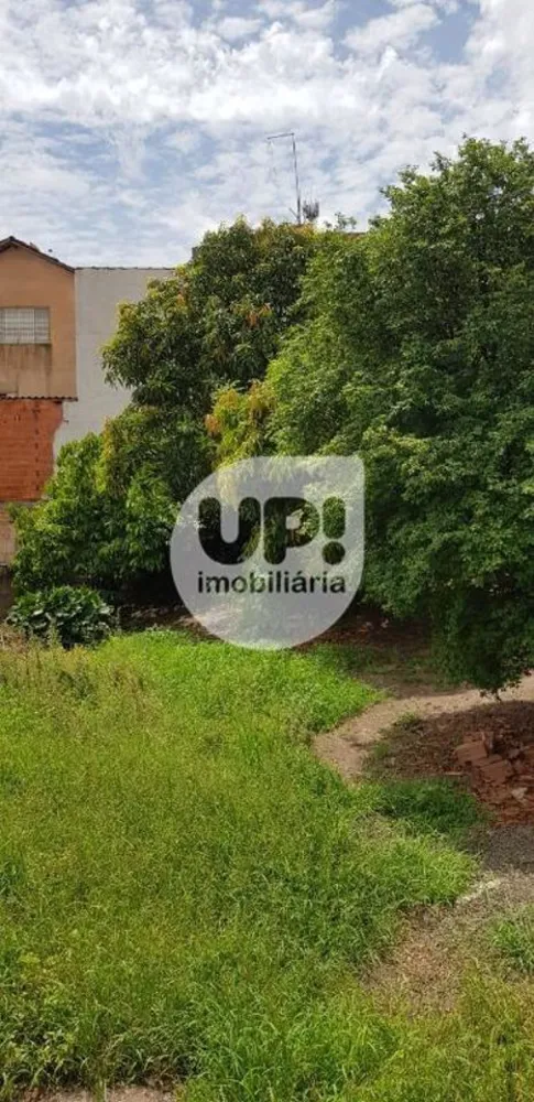 Terreno, 250 m² - Foto 2