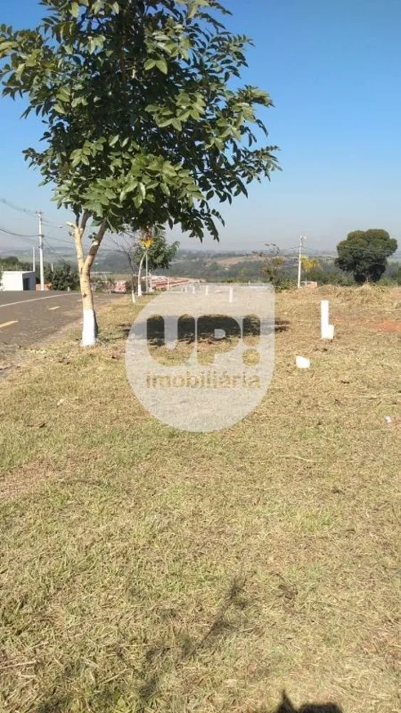 Loteamento e Condomínio, 175 m² - Foto 1
