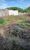 Terreno, 350 m² - Foto 5
