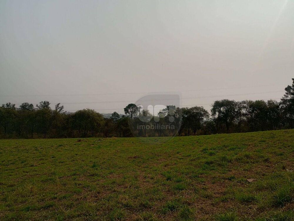 Terreno, 2 hectares - Foto 2