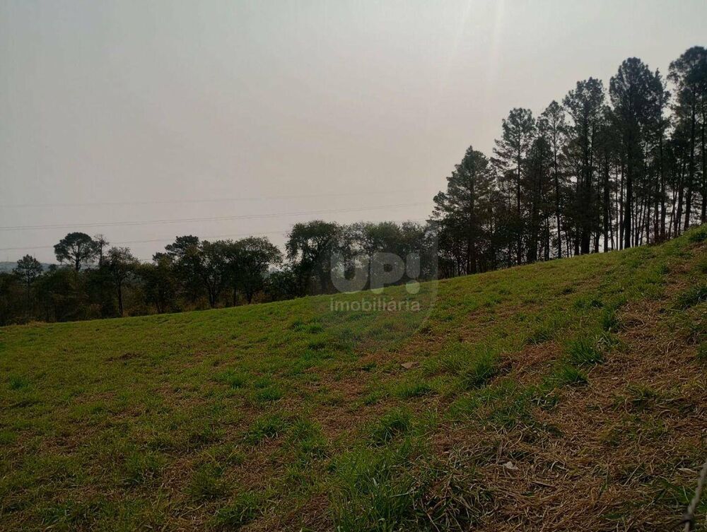 Terreno, 2 hectares - Foto 4