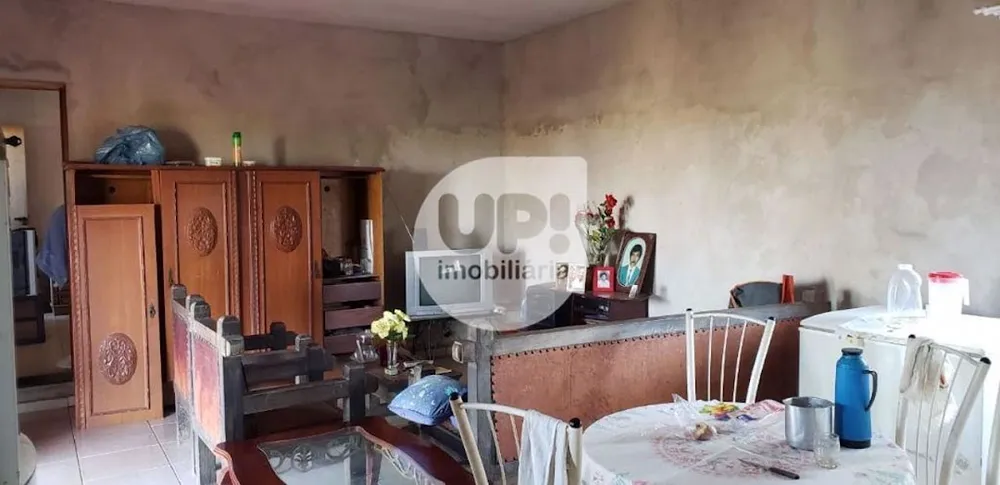 Chácara, 1 quarto, 1000 m² - Foto 3