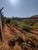 Terreno, 180 m² - Foto 5