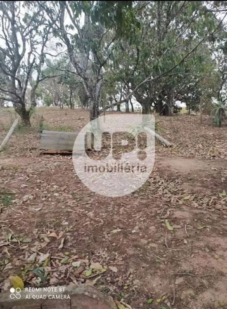 Chácara, 3 quartos, 7090 m² - Foto 6