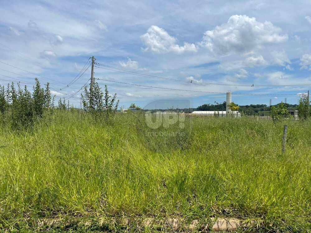 Terreno, 250 m² - Foto 1