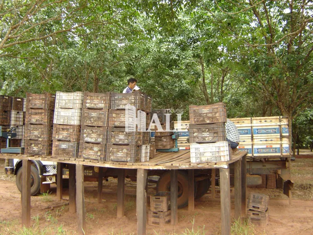 Fazenda, 73 hectares - Foto 8