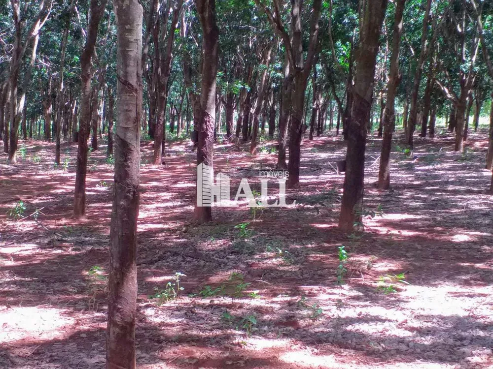 Fazenda, 73 hectares - Foto 3