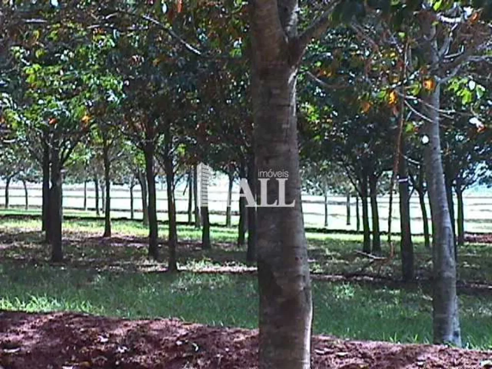 Fazenda, 73 hectares - Foto 3