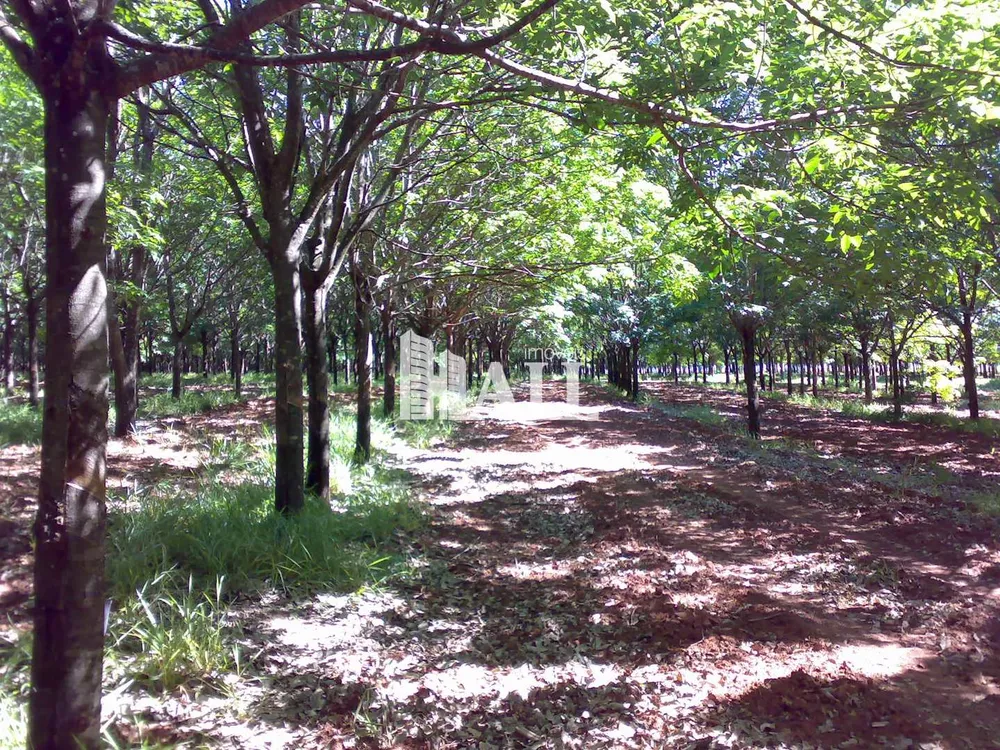 Fazenda, 73 hectares - Foto 5