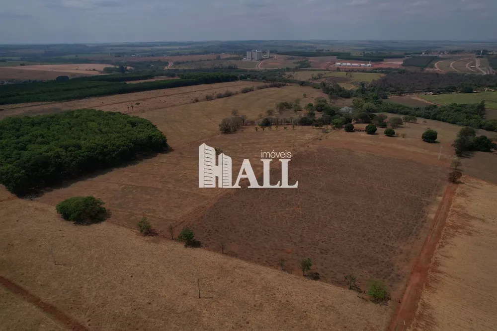 Sítio, 29 hectares - Foto 1