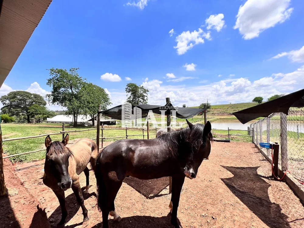 Fazenda, 70 hectares - Foto 17