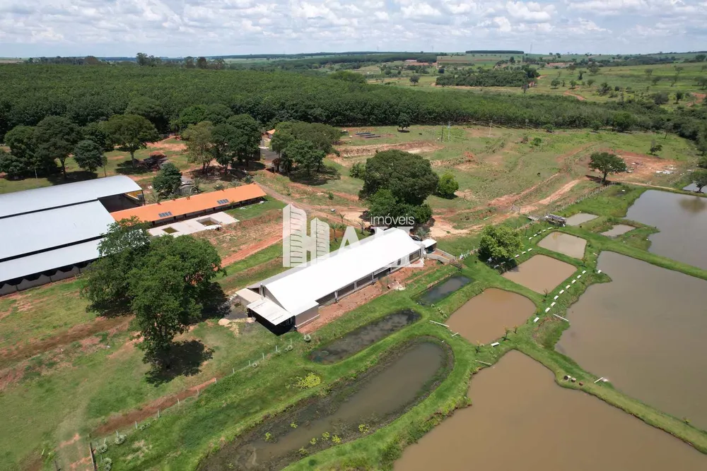 Fazenda, 70 hectares - Foto 3