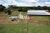 Fazenda, 70 hectares - Foto 3
