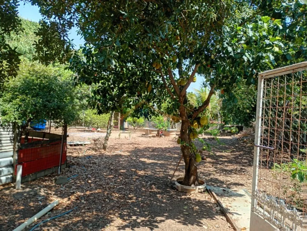 Chácara, 4 quartos, 2080 m² - Foto 2