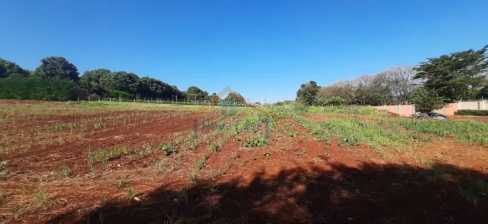 Terreno, 5200 m² - Foto 8