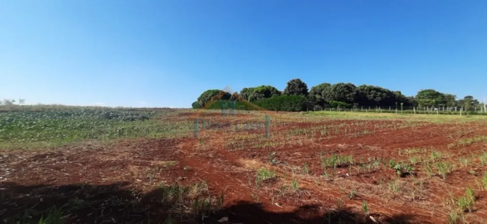 Terreno, 5200 m² - Foto 4