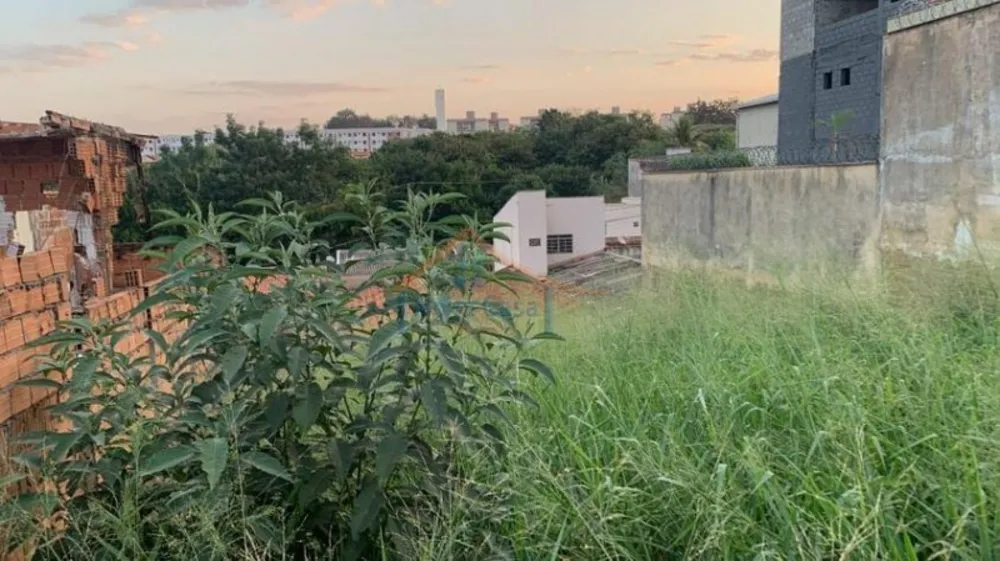 Terreno, 250 m² - Foto 1