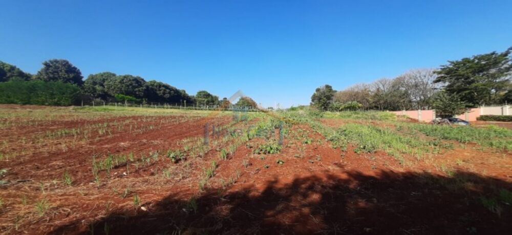 Terreno para alugar, 5200m² - Foto 3
