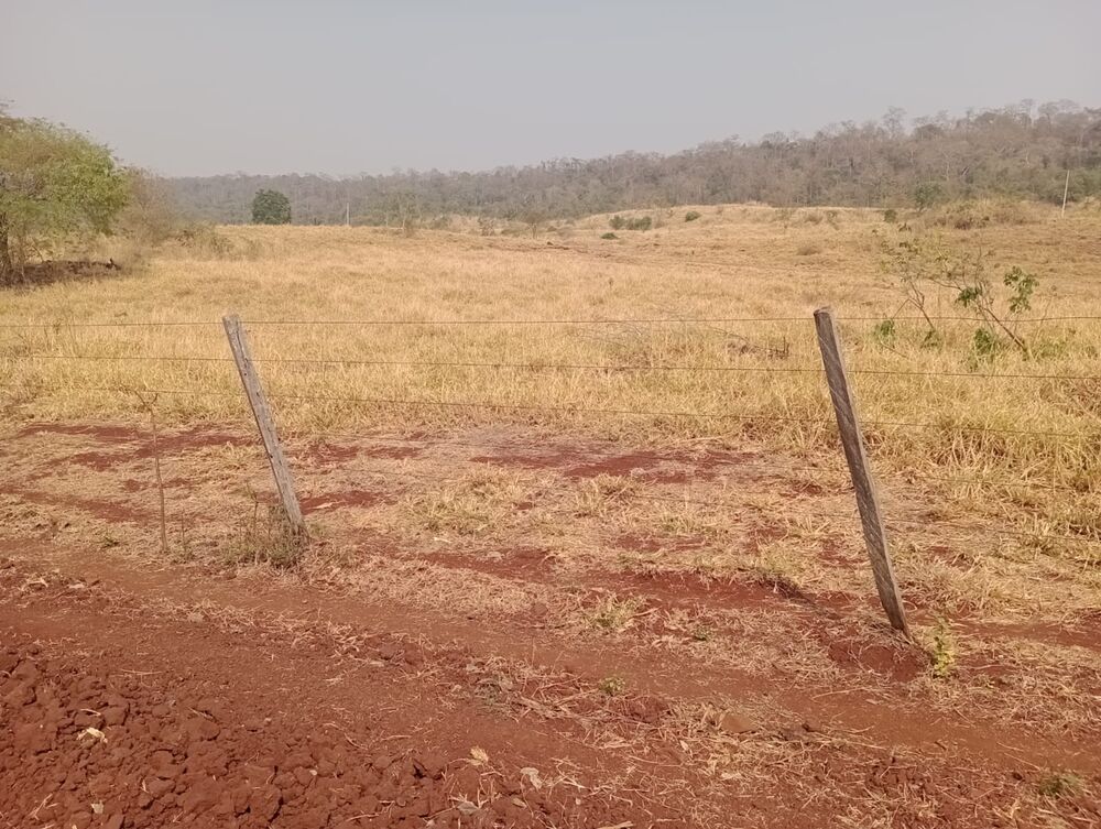 Fazenda à venda, 20570000m² - Foto 4