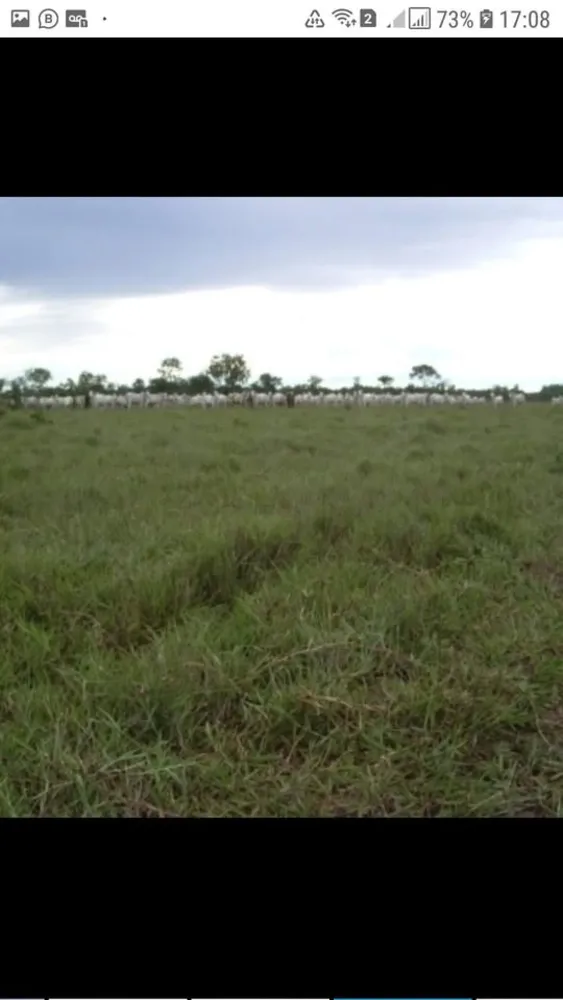 Fazenda, 1331 hectares - Foto 1