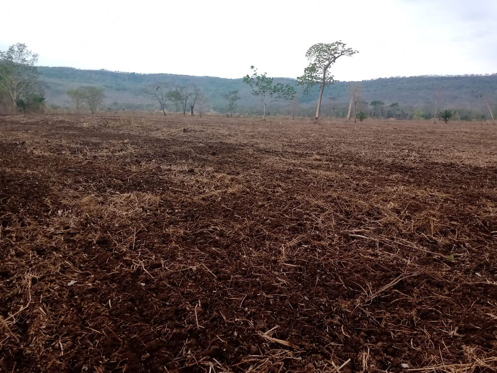 Fazenda à venda, 20570000m² - Foto 14