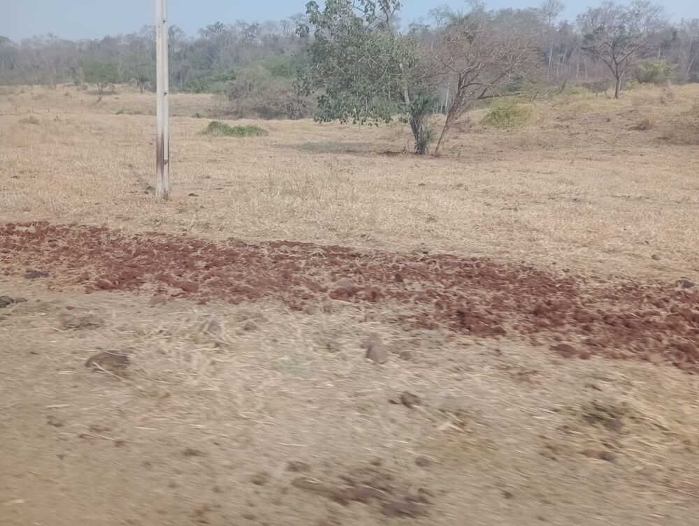 Fazenda à venda, 20570000m² - Foto 5