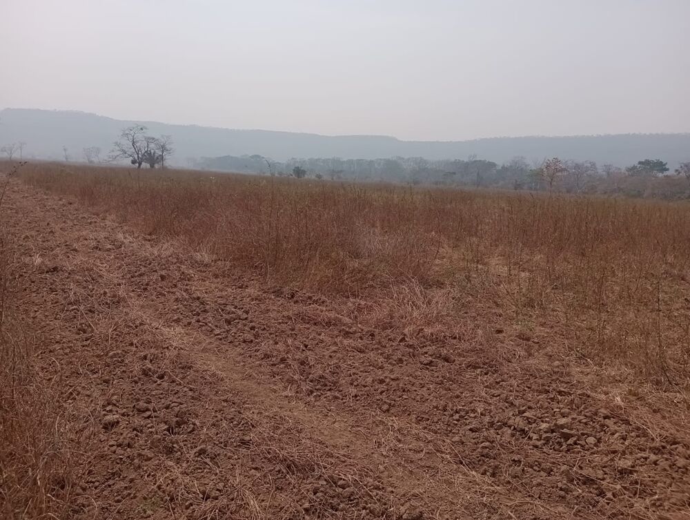 Fazenda à venda, 20570000m² - Foto 10