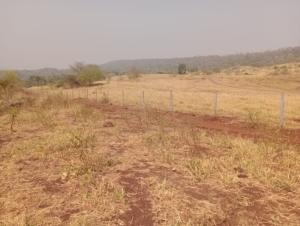 Fazenda à venda, 20570000m² - Foto 13