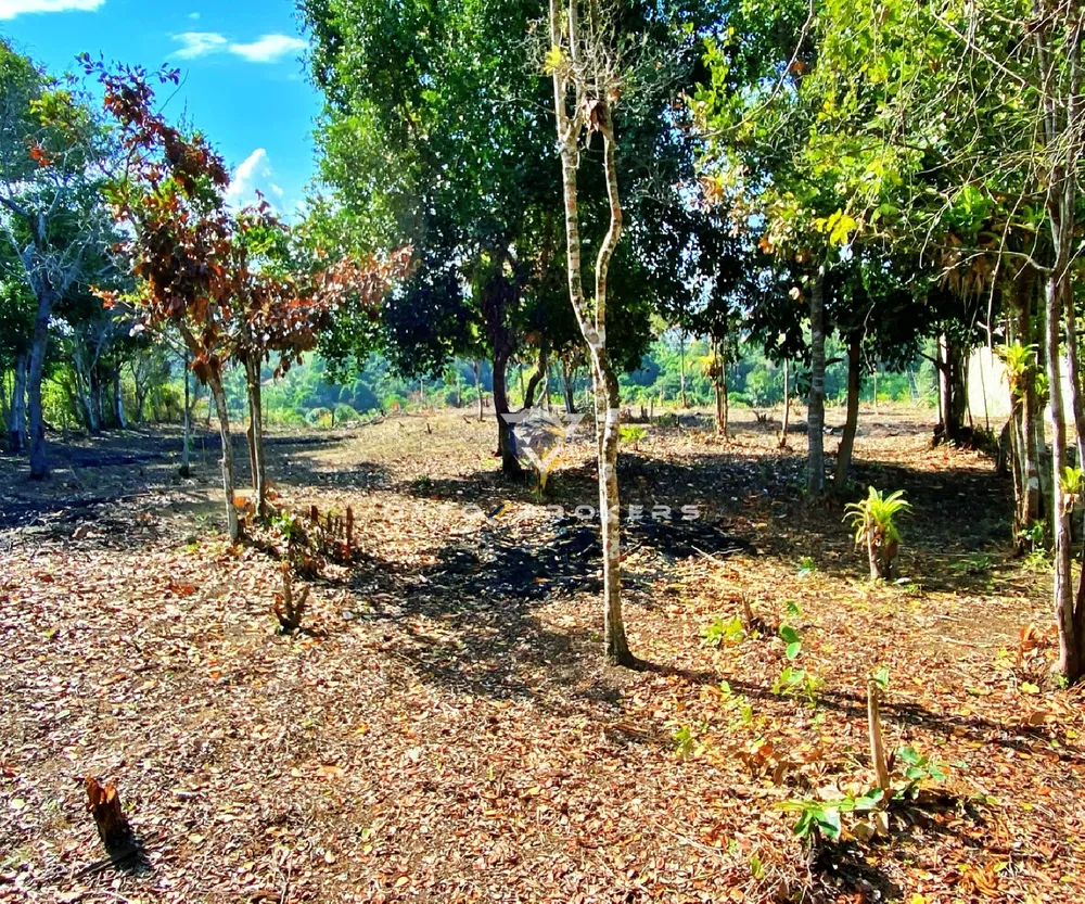Terreno, 600 m² - Foto 6