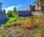 Terreno, 250 m² - Foto 1