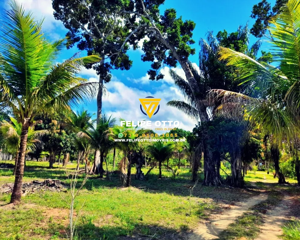 Chácara, 2 quartos, 8 hectares - Foto 9