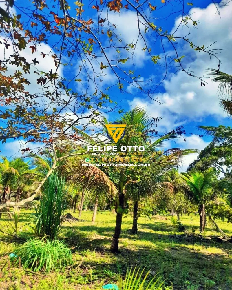 Chácara, 2 quartos, 8 hectares - Foto 12