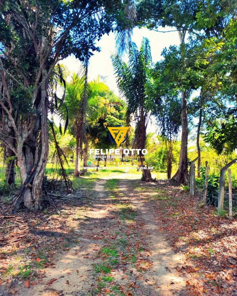 Chácara, 2 quartos, 8 hectares - Foto 8