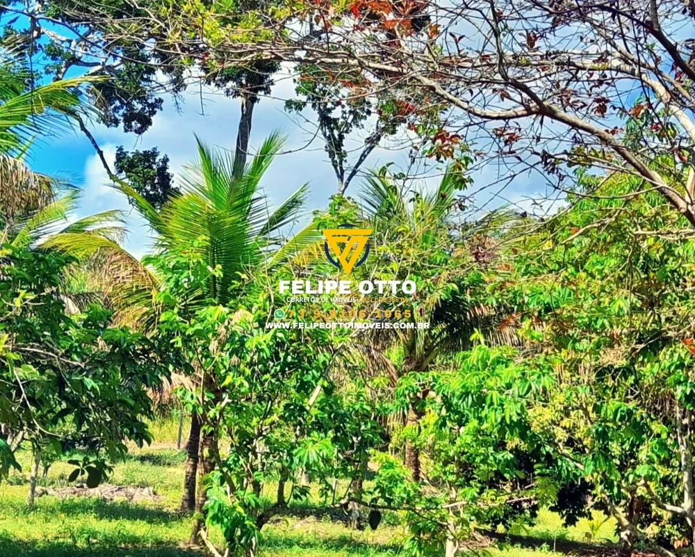 Chácara, 2 quartos, 8 hectares - Foto 11