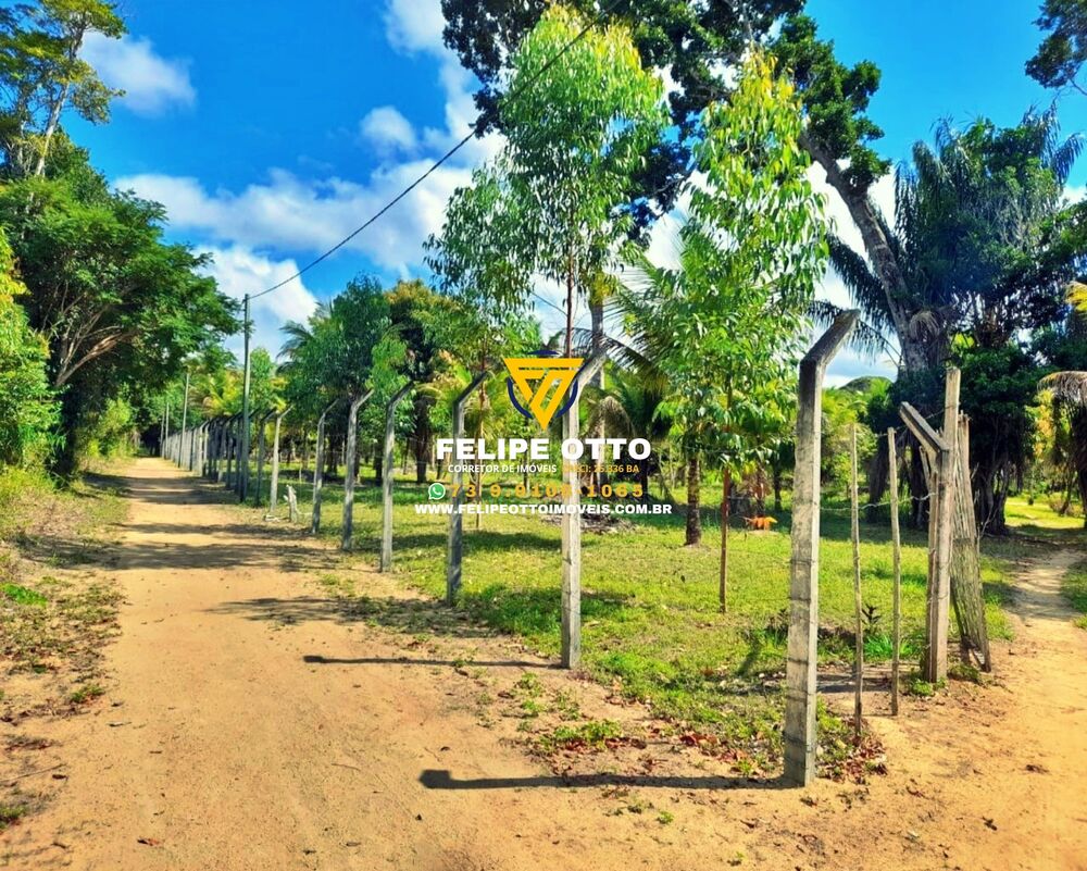 Chácara, 2 quartos, 8 hectares - Foto 17