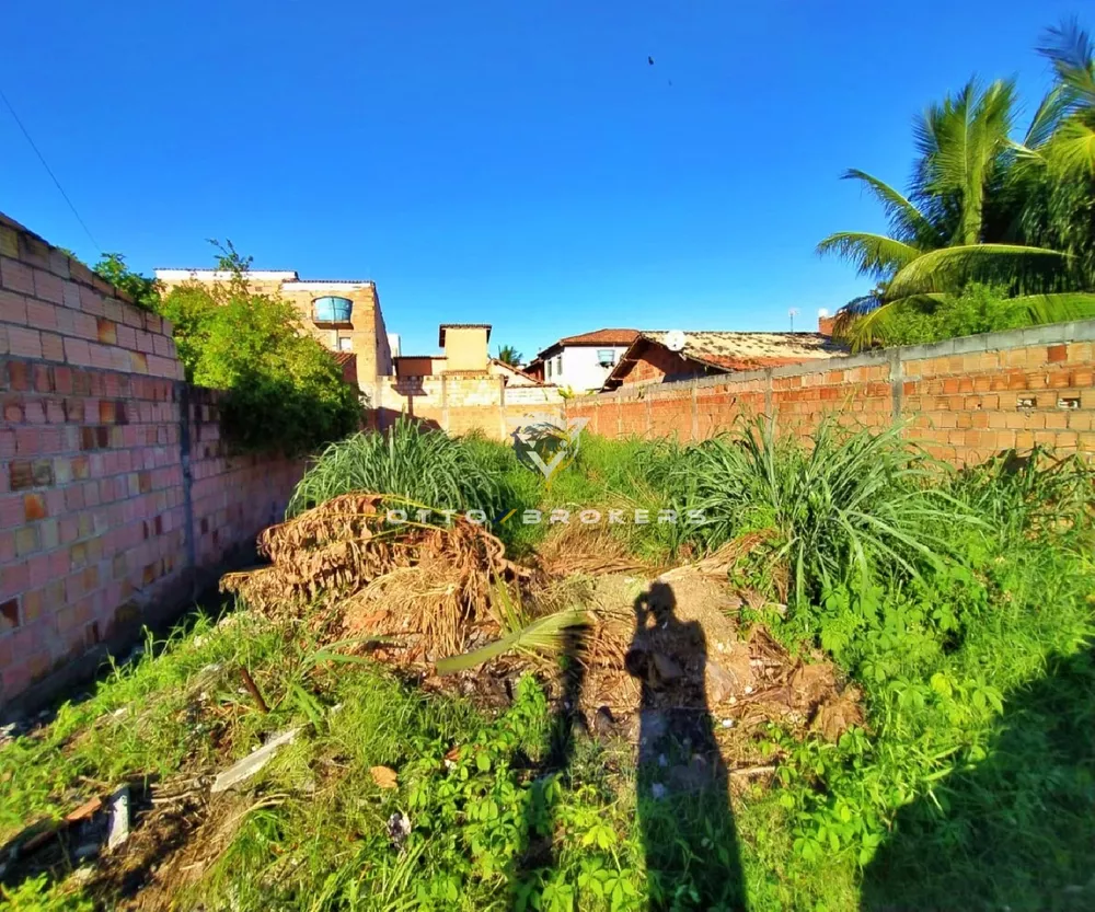 Terreno à venda, 250m² - Foto 3