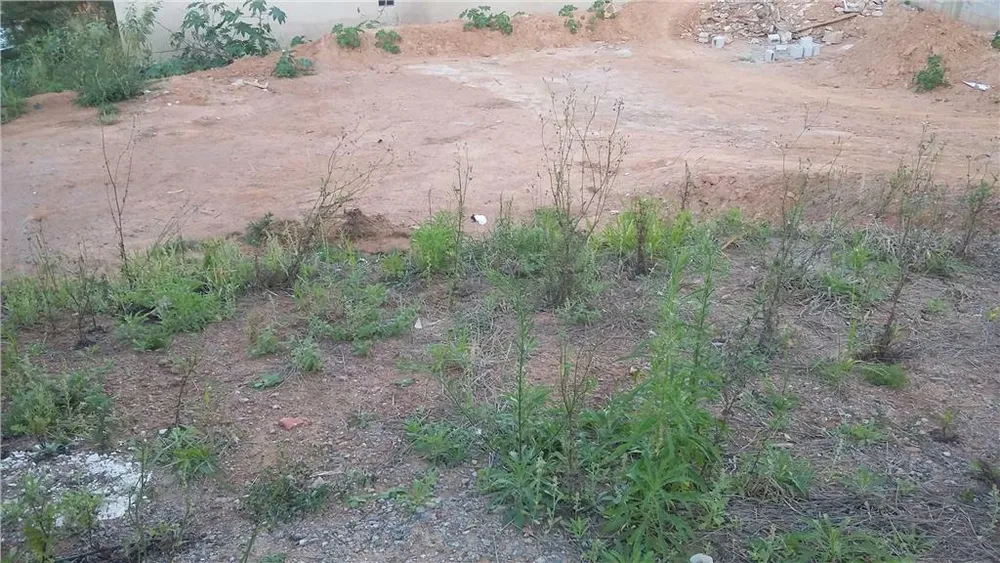 Terreno, 307 m² - Foto 3
