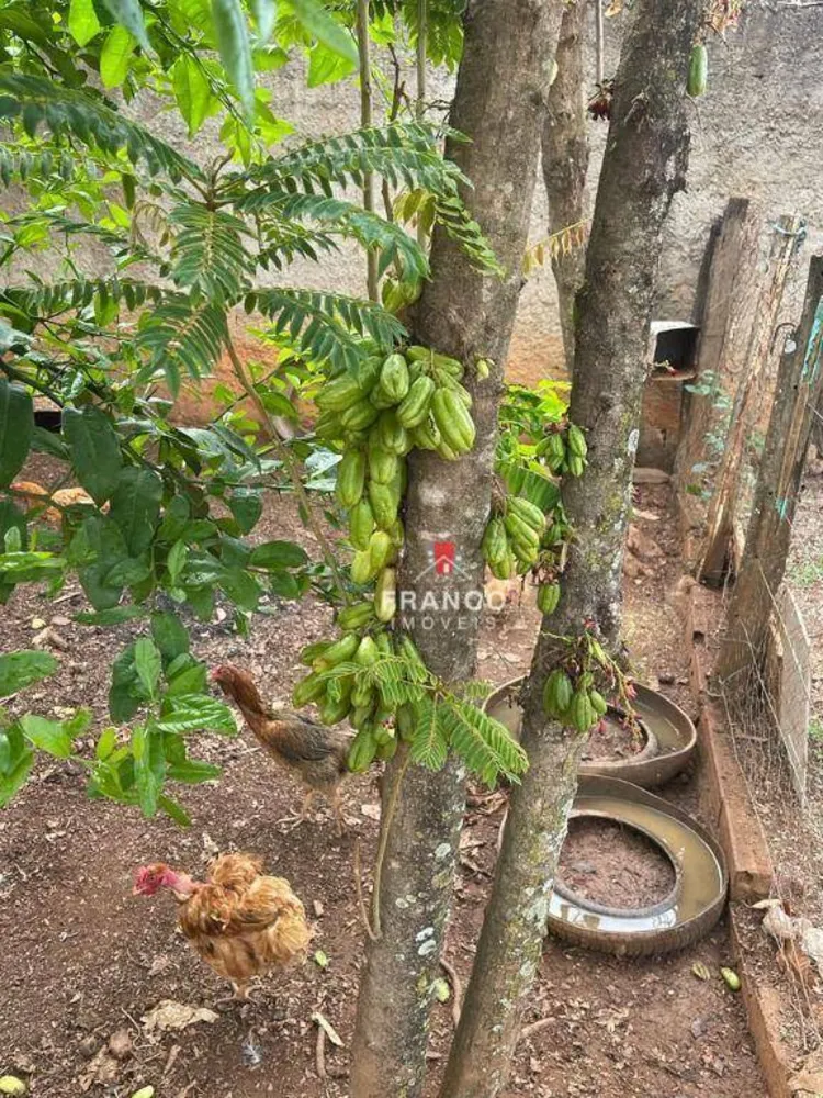Chácara, 4 quartos, 1 hectares - Foto 2