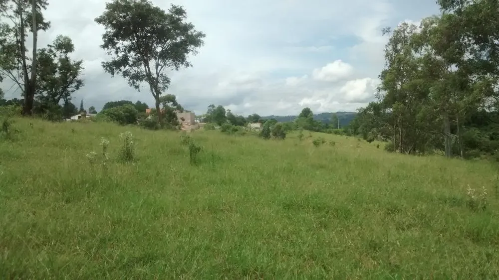 Terreno, 2 hectares - Foto 2