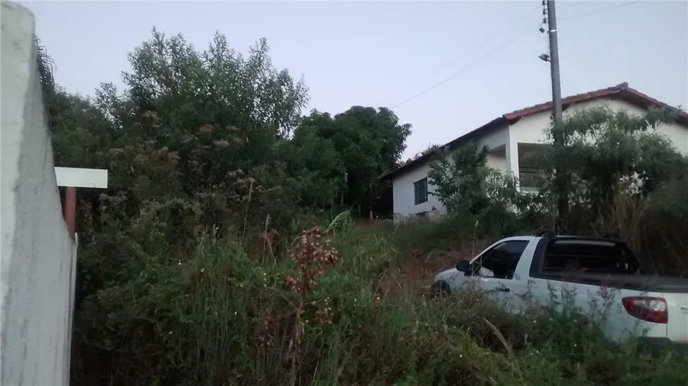 Chácara, 4 quartos, 2 hectares - Foto 3