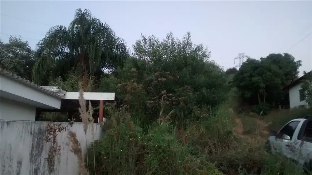 Chácara, 4 quartos, 2 hectares - Foto 4